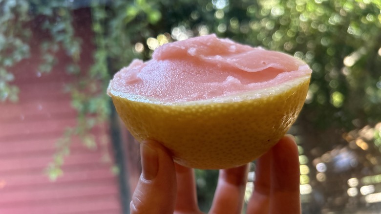 grapefruit sorbet in lemon cup