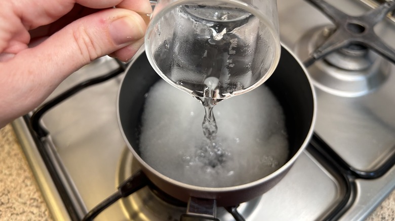 hand pours water into pot