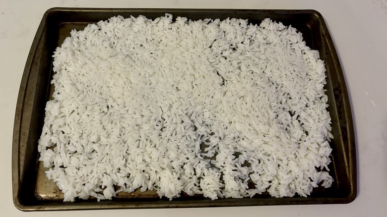 Rice spread on a pan