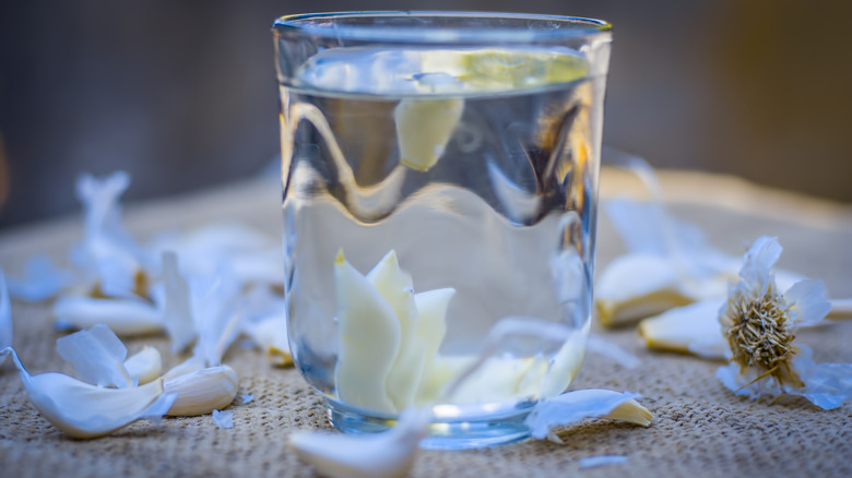 peeled garlic in water
