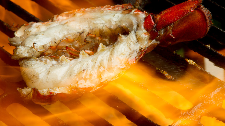 lobster tail shell-side-down on grill