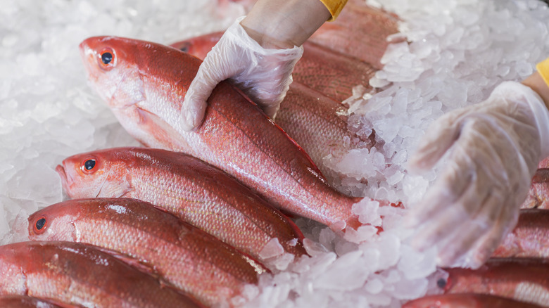 fresh fish stored on ice