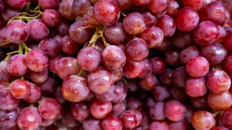 Red wine grapes