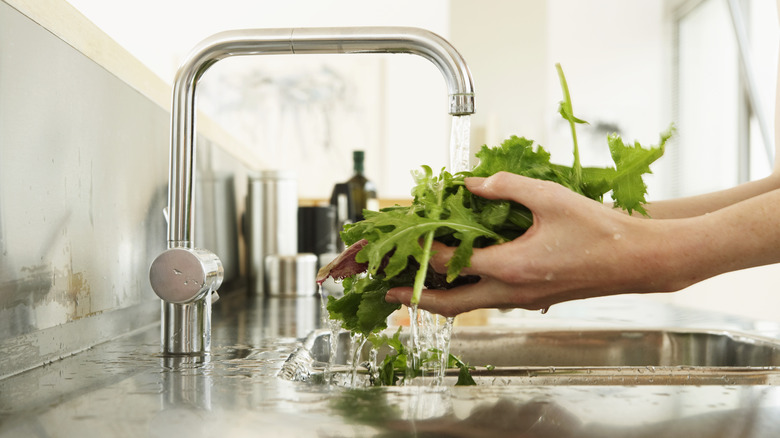 washing veggies in sink