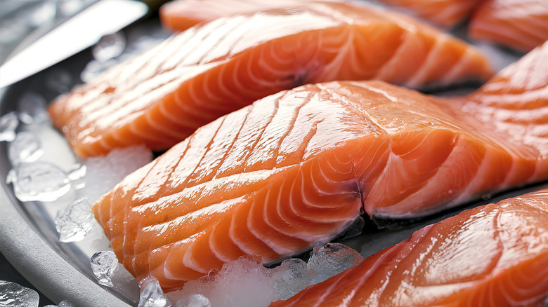 close up of salmon filets on ice