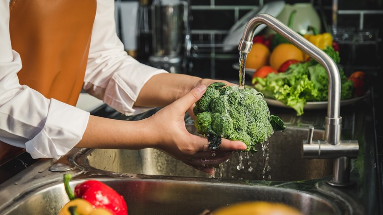 A person washing broccoli in a sink