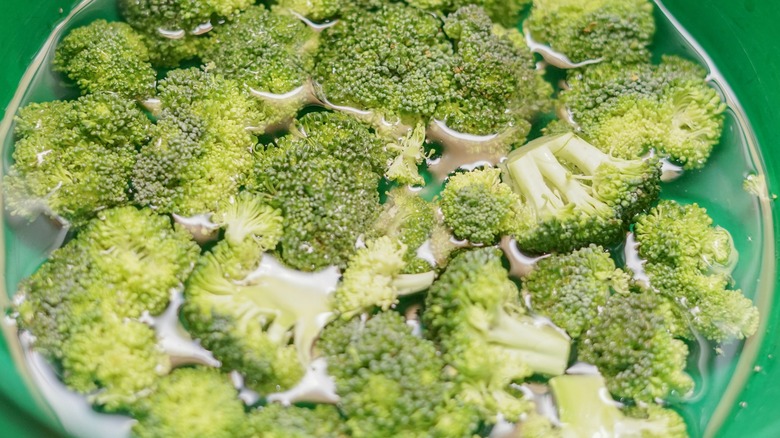 Broccoli in a bowl of water