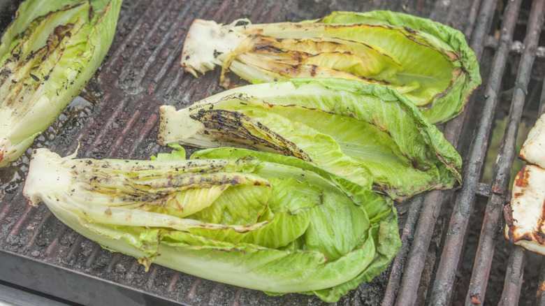 Charred lettuce on the grill