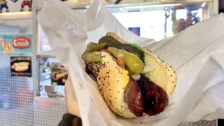 Person holding a Chicago-style Home Depot hot dog