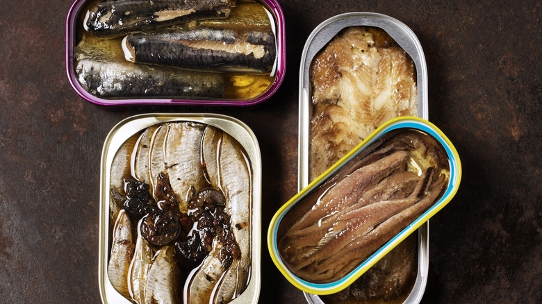 Four tinned fish varieties, opened and stylishly arranged.