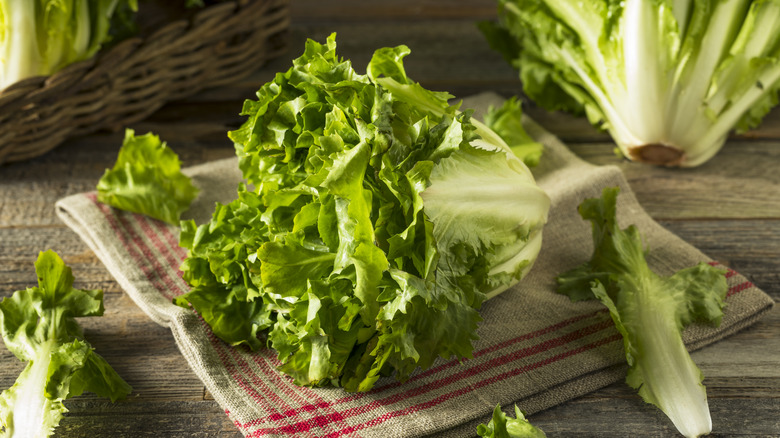 Escarole on a towel