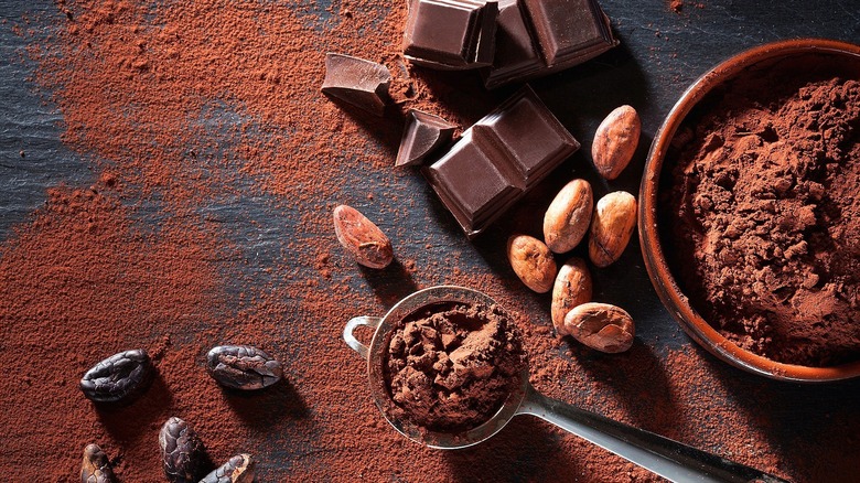 Sifted cocoa powder on surface with broken chocolate, coffee beans, and cacao beans