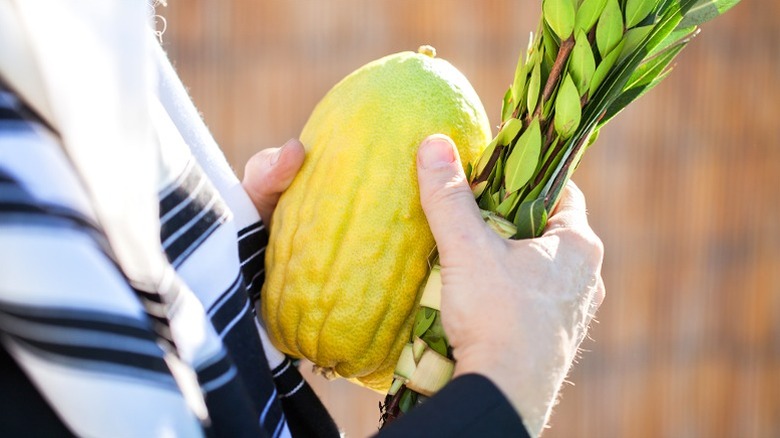 etrog and branch for Sukkot