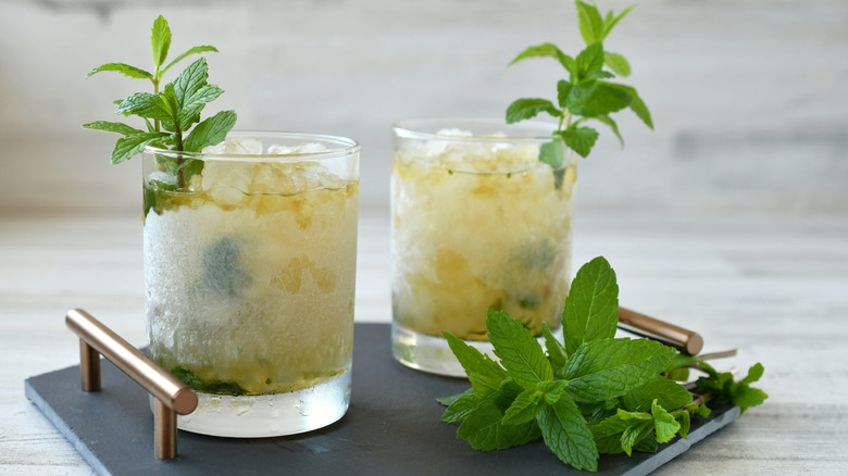 Two mint juleps sit on a tray with a spring of mint beside