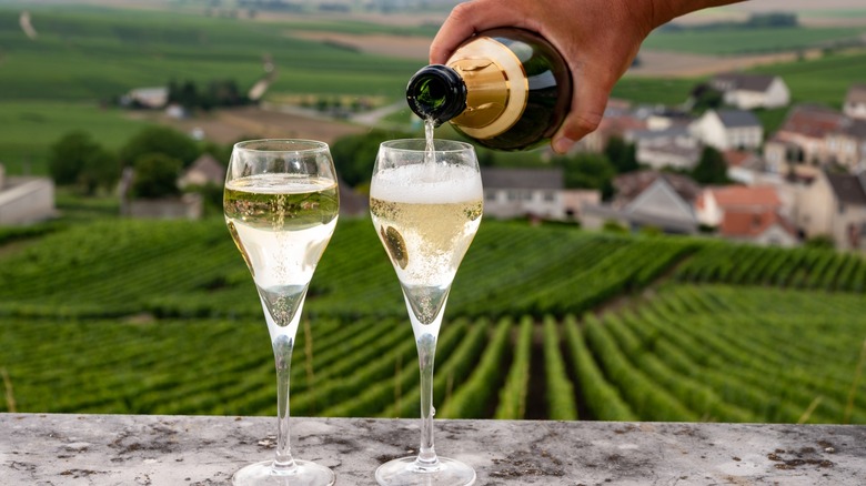 Pouring Champagne in a French vineyard