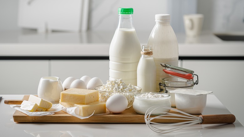 Assorted dairy products on counter