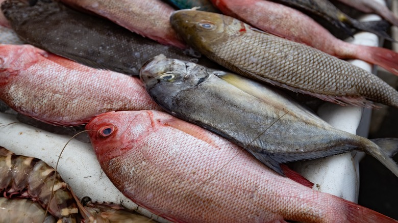 Whole fish on ice in a market.