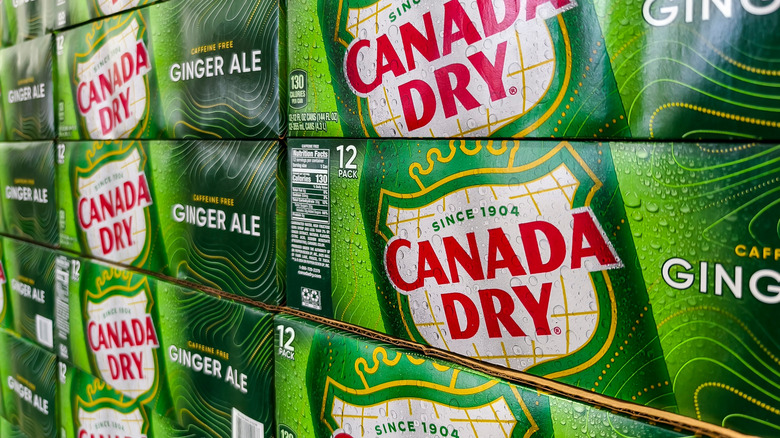 Ginger Ale Gluten-Free: What You Need to Know