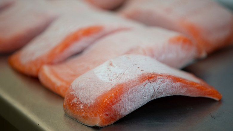 Frozen salmon fillets on tray