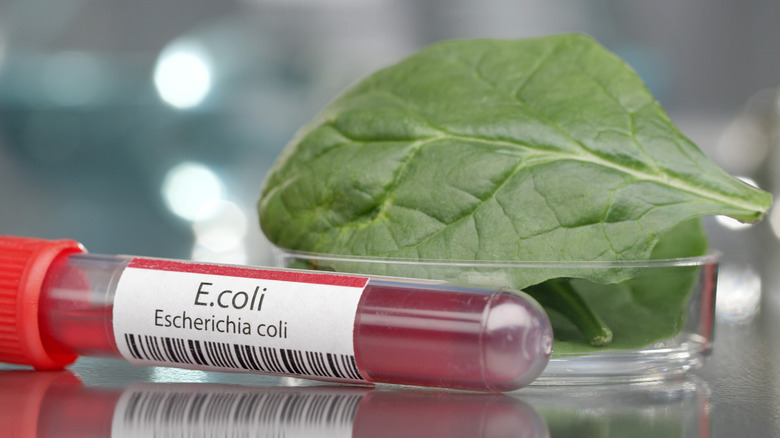 A vial labeled E coli in front of raw spinach