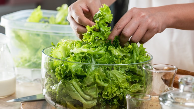 hands mixing lettuce in a bowl