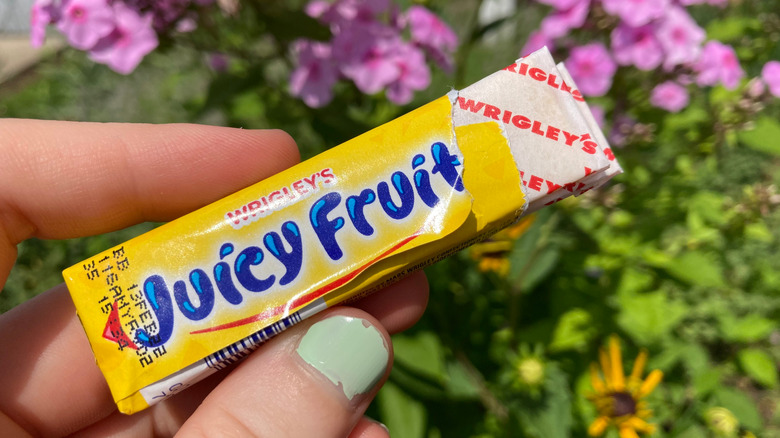hand holding Juicy Fruit package