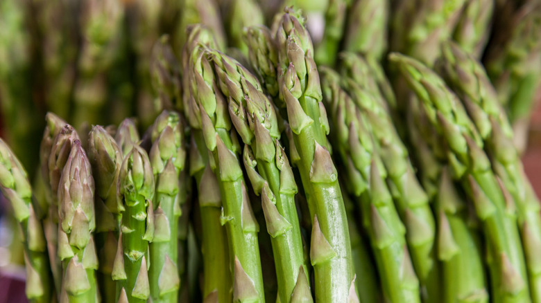 Close up of asparagus stalks