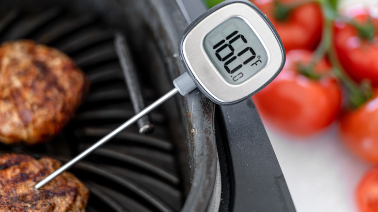 Meat with cooking thermometer
