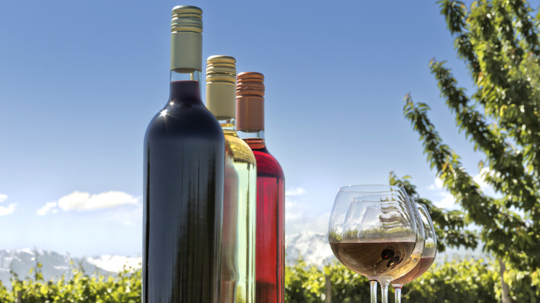 three bottles of wine outside with glasses