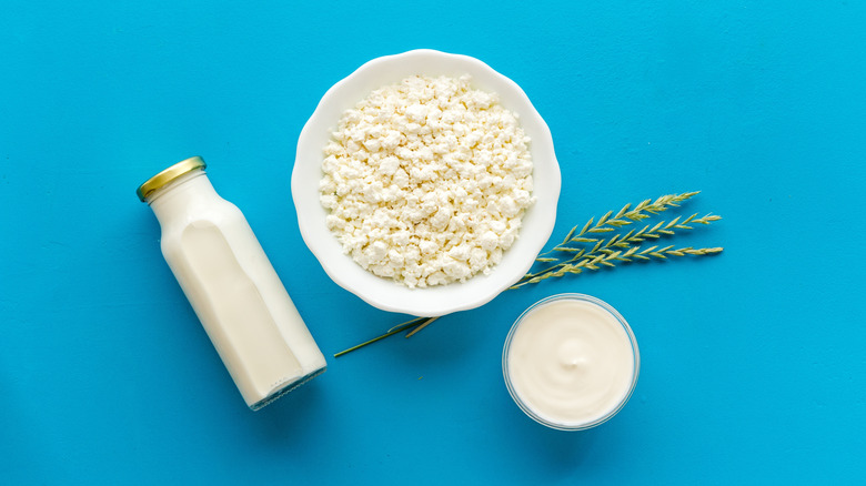 A bowl of cottage cheese next to milk and sour cream.