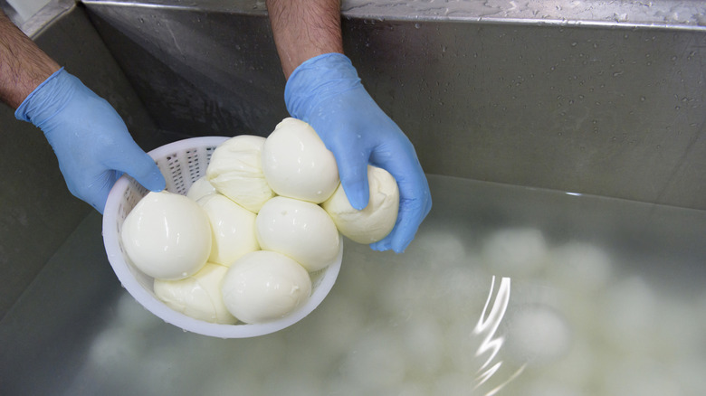 Person places fresh mozzarella balls into water