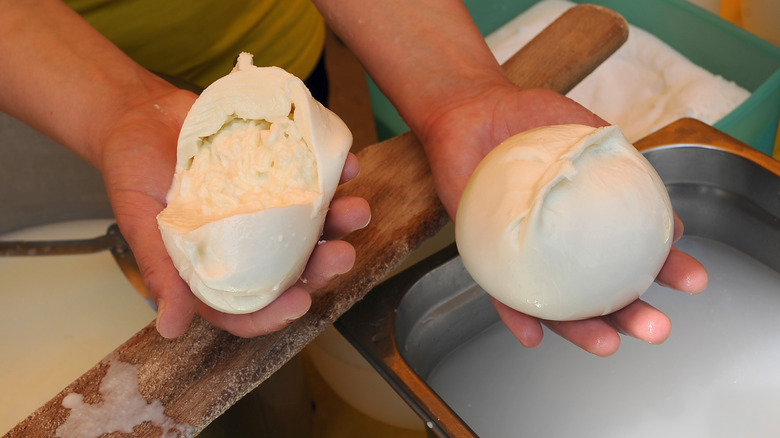 A person making homemade mozzarella cheese