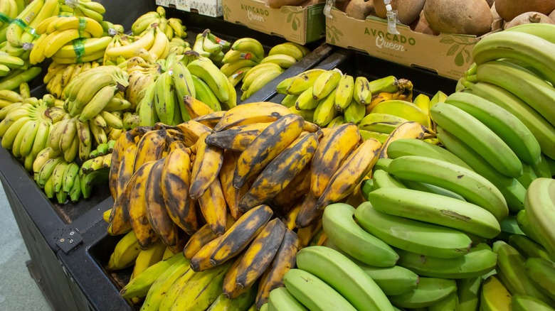 grocery store selection of bananas and plantains