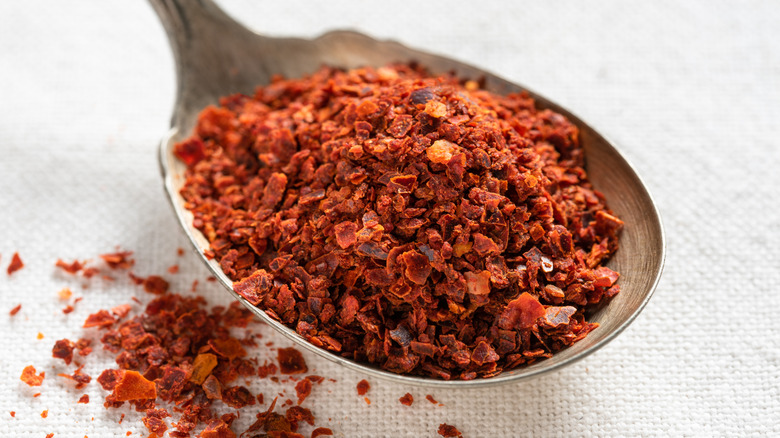 Aleppo pepper on spoon