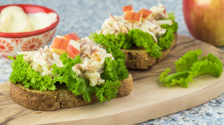 Open-faced tuna and apple sandwich