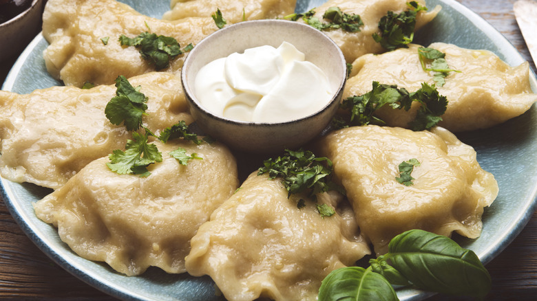 Mashed potato-stuffed pierogi served with sour cream