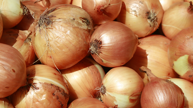 Fresh raw onions