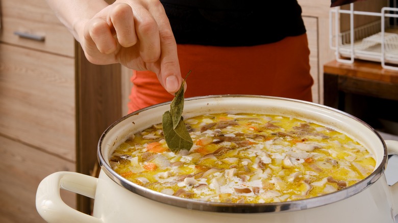 Adding fresh herbs to pot of soup