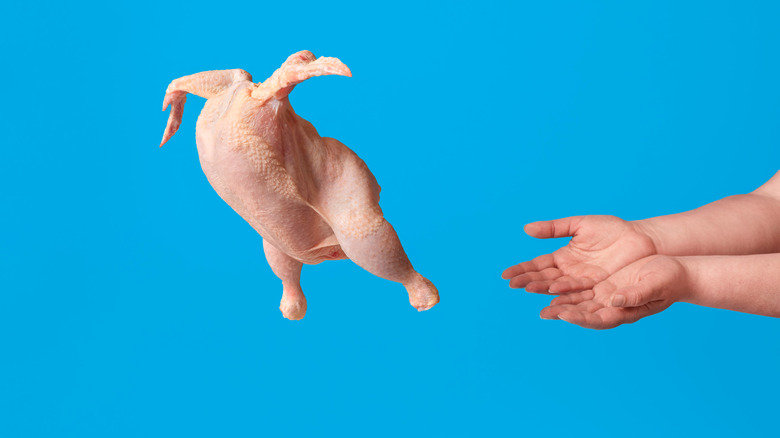 Person tossing raw whole chicken