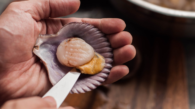 Person cutting a scallop