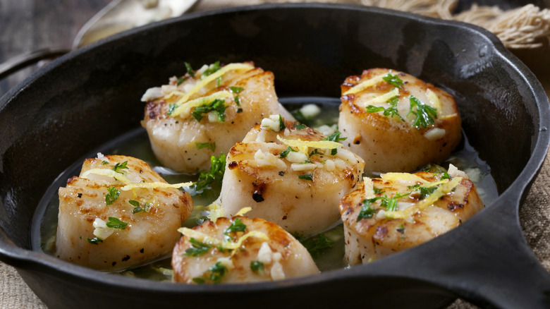 Scallops in a pan