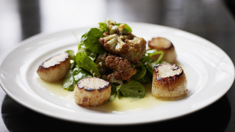 Burnt scallops on a plate