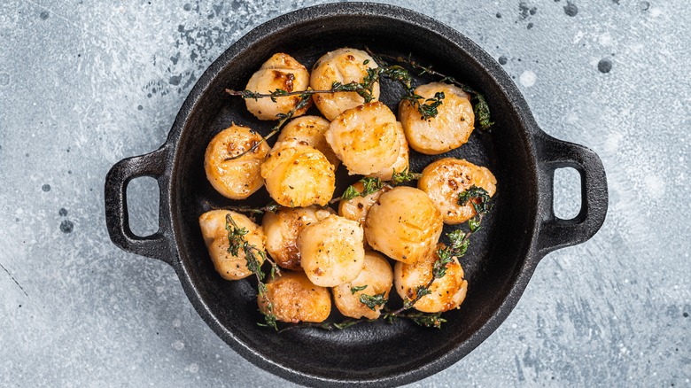 Cooked scallops in a pan