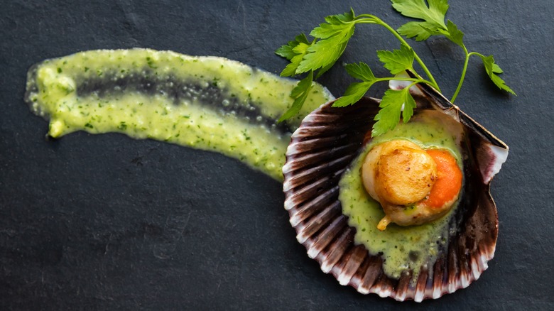 Scallop in shell with sauce