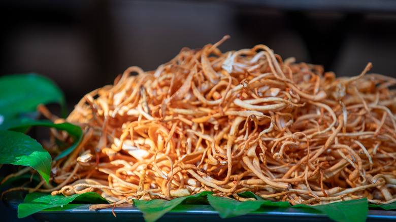 A pile of cordyceps