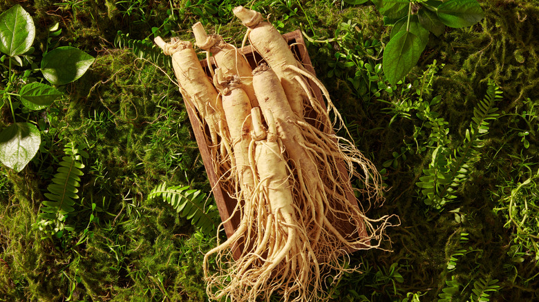 Ginseng roots