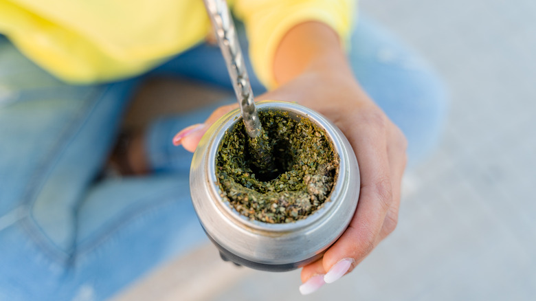 Yerba mate