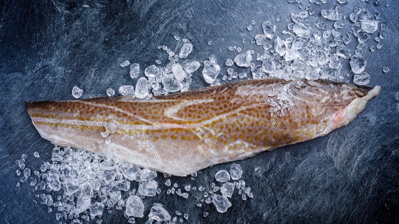 isolated cod fish filet