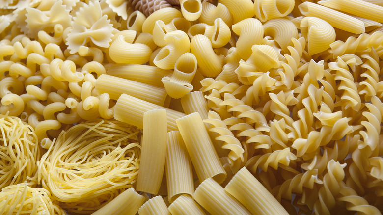 pasta close up