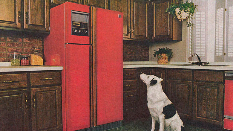 Dog looks up at refrigerator 